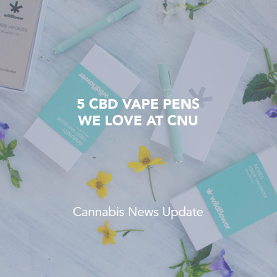 5 CBD Vape Pens We Love At CNU