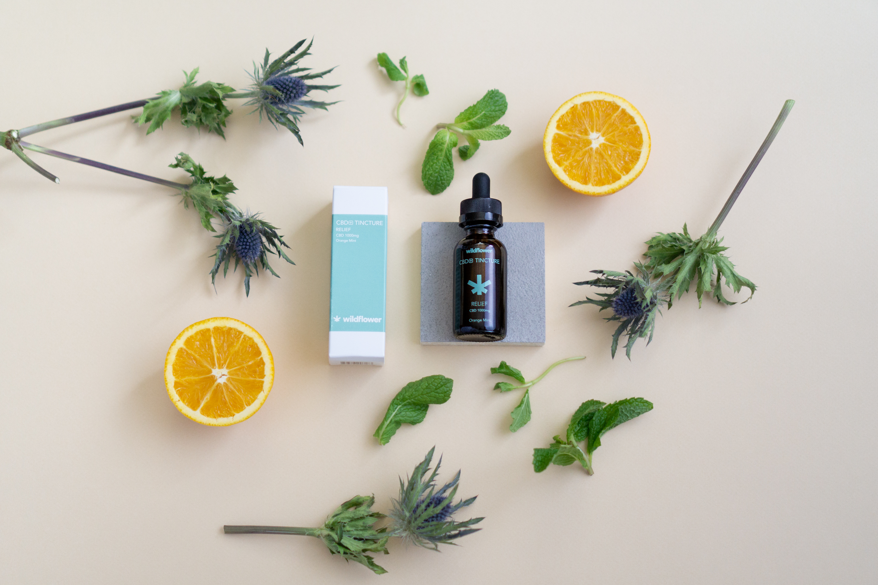 CBD+ in Synergy