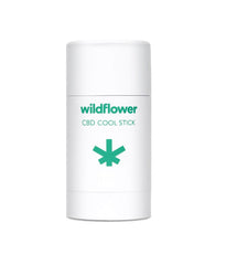 CBD Cool Stick CBD Cool Stick | Wildflower Wellness