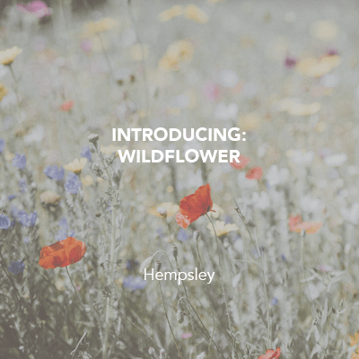 Introducing: Wildflower