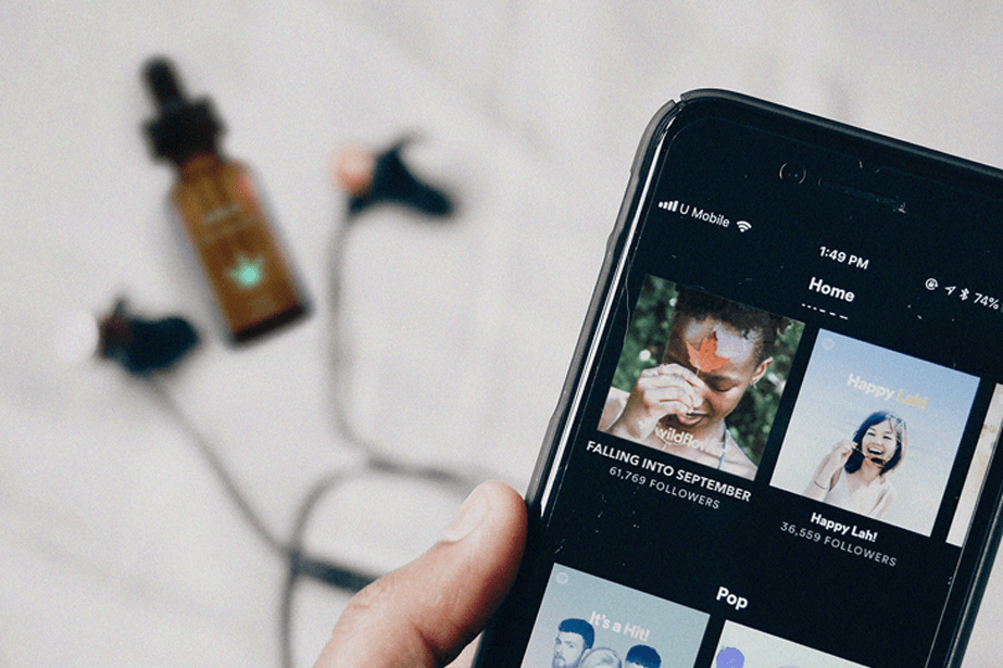 Relax with Wildflower's curated Spotify playlists