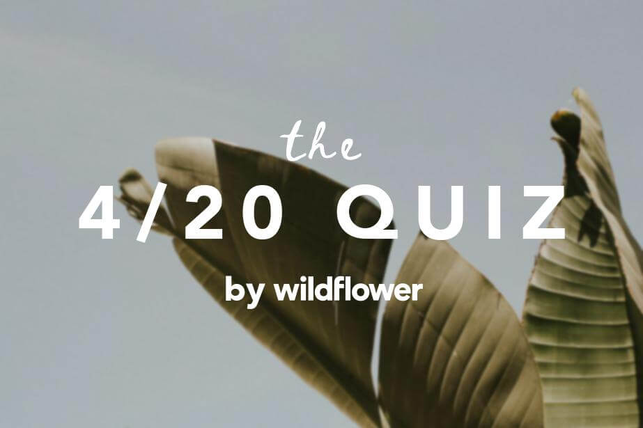 Test your CBD knowledge with Wildflower