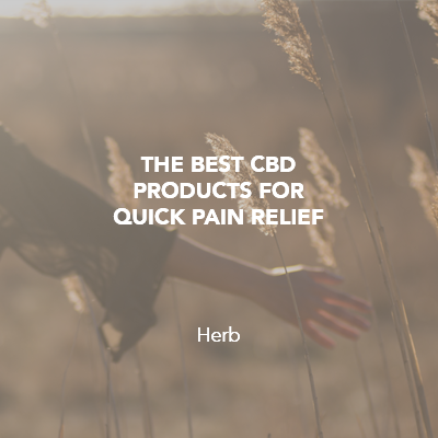 Best CBD for Pain