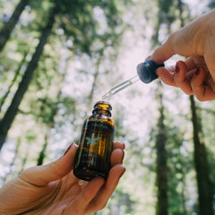Relief Tincture | Wildflower Wellness